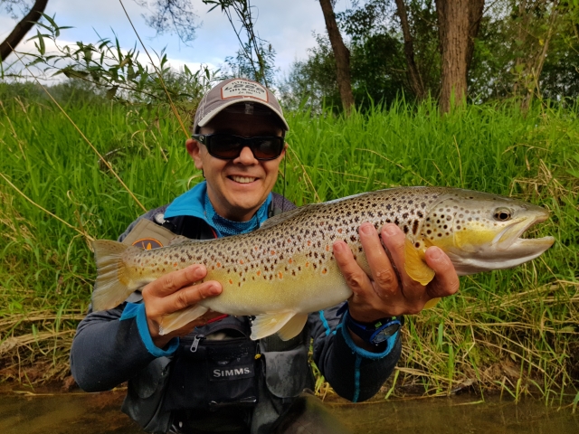 Beauty from Dunajec River, cought on streamer.  Small marabou olive leech