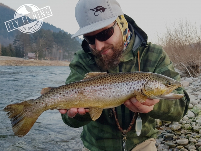 Brown Trout Dunajec Poland - Wojtek fly fishing guide in Poland