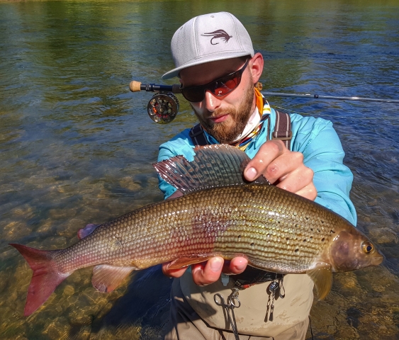 Beauty Grayling from Pieniny National Park - catch&release zone
