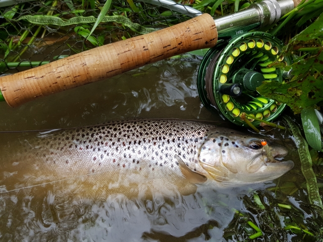 Streamer fishing for trout, olive leech with orange head.