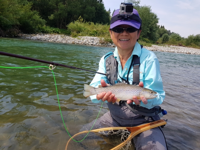 Little brownie from Bialka Tatrzanska River - Tatry Mountain region