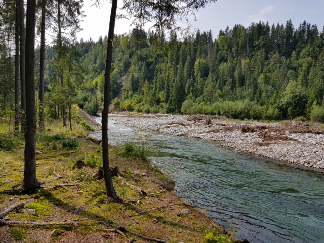 Bialka Tatrzanska crystal clear water with wild brown trouts and graylings