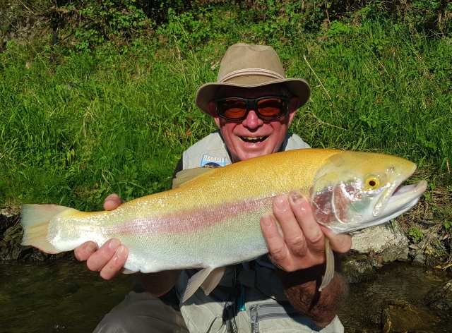 Very rare fish cought in the river. Strong fish