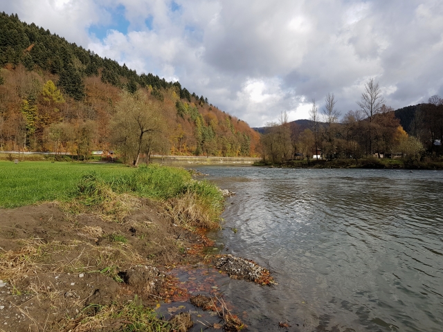 Dunajec River the best fly fishing in Poland - 11km no kill zone
