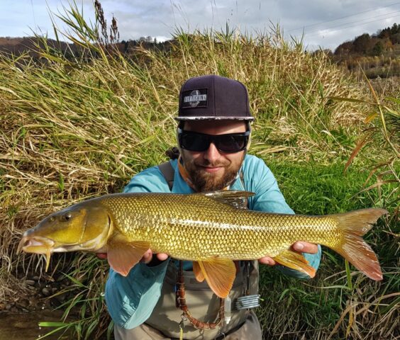 Gold Fish from river bottom. Nymph fishing for barbel