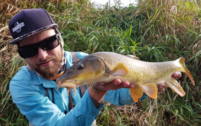 Barbel Fly Fishing, dry fly fishing ?