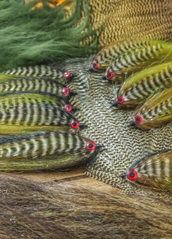 The best streamer for Hucho-hucho (Danube Salmot, Taimen)