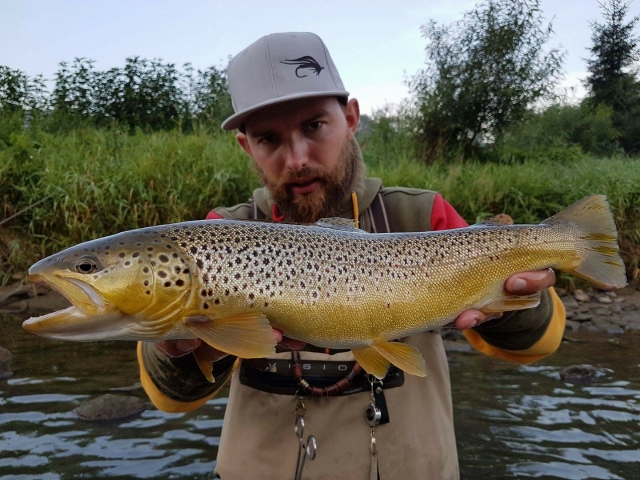 Vision rod helped a lot when catching tkat brown trout