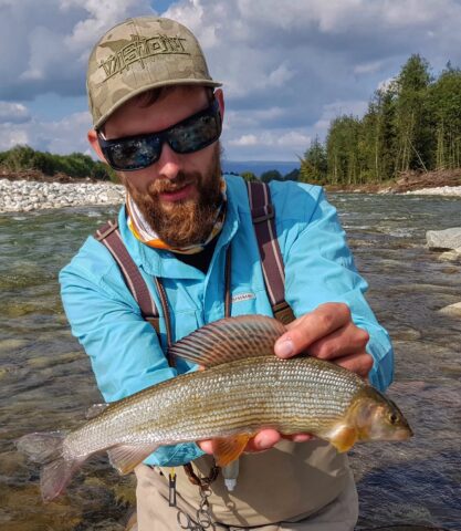 Wild Grayling and brown trouts from Bialka River