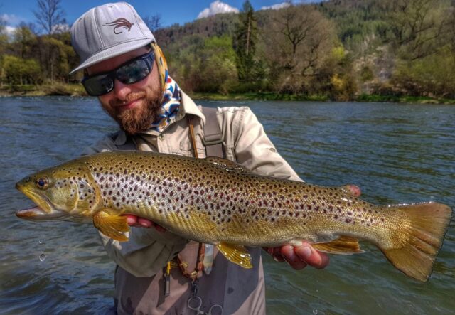 Dunajec River Brown Trouts, similar to Bosnia Una and Ribnik fishing