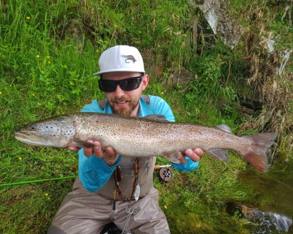 Danube Salmon (Hucho-hucho) in Poland (not Austria) streamer fishing