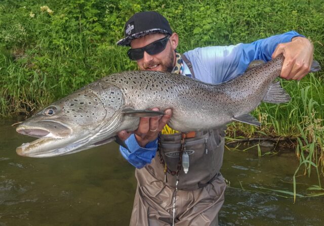 Hucho-hucho Europe guide fly fishing