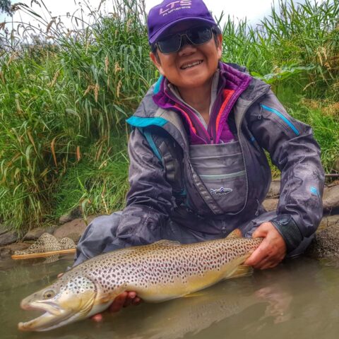 Best flies for brown trout