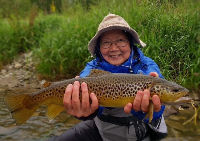 Wild river brownt trout fishing Poland - Europe