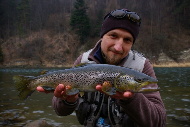 My friend fly fishing with streamer - Brown Trout beauty