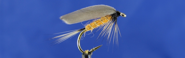 Yellow Sally variant, barbless hook, yellow Wapsi dubbing, Mallard duck wing
