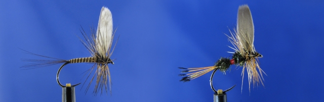 Perfect dry fly fishing set. Royal Coachman & Quill