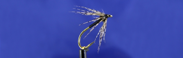 Black spider wet fly, peacock hearl, wet fly hook, partridge, UV glue