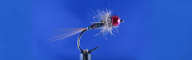 Perdigon Nymph Variant Cock Cape Rainbow body, UV Deer Creek, Hare's mask dubbing
