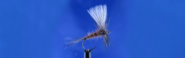 CDC dry fly, Hanak, Rabbit dubbing, Metz Hackle, CDC wing
