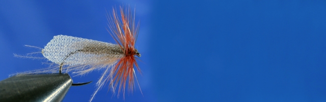 Caddis Dry, Caddis wing, brown Metz Hackle, CDC dubbing