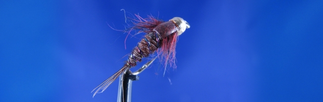 Nymph for brown trout, burgundy fly, gold tungsten bead