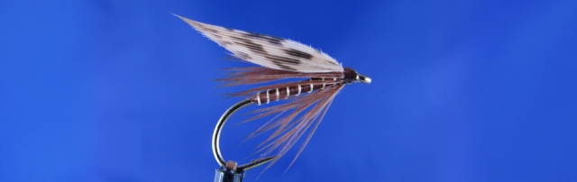Wet fly for trout, gold wire, brown thread, Brown hen Hackle, Pheasant wing