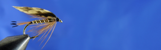 Wet fly for trout, tippet, gold body, brown hen hackle, pheasant hen wing. UV glue
