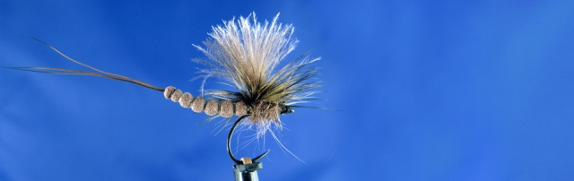 May Fly Oiver Edwards foam for fly, TMC, Keough saddle, CDC wing