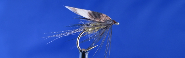 Olive wet fly, March Brown, mallard brone, olive dubbing, gold ribbing, black hen, pheasant hen wing.