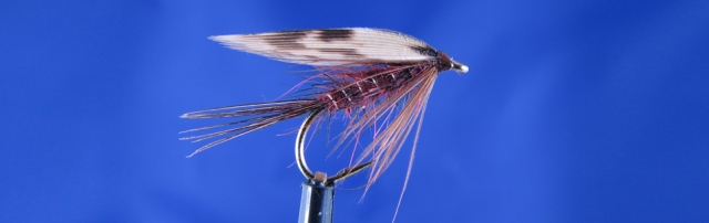 March Brown Variant, wet fly for rout - fly fishing