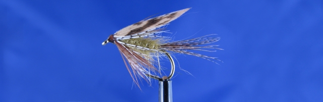 Olive wet fly March Brown variant, effective for trout