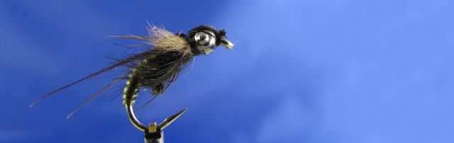 Heavy pupa for deep river fishing, trout fishing,