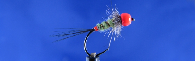 Small nymph with hot point, agressive trouts like it