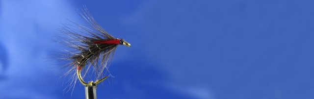 Trout spidet, intermedial fishing for trout