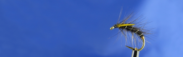 Black Spider June fishing,  fly fishing in Poland