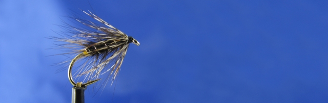 Trout fishing spider - fly fishing in Poland