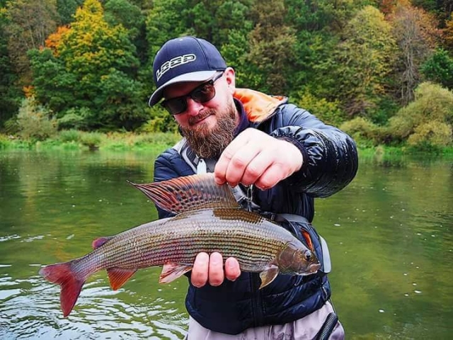Grayling fly fishing trips, Poland Slovakia Europe