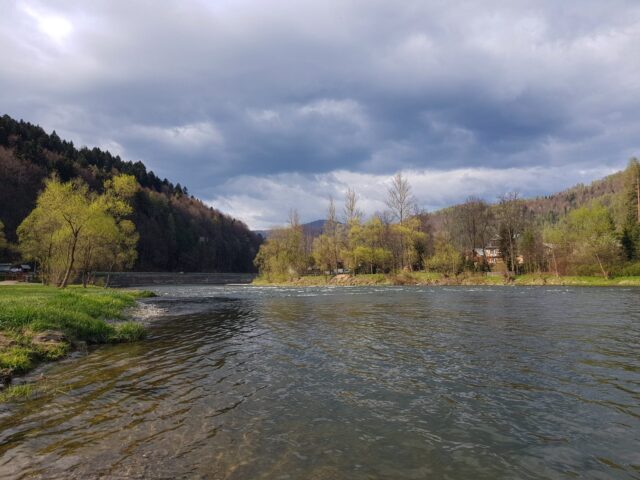 Great streamer fishing spot