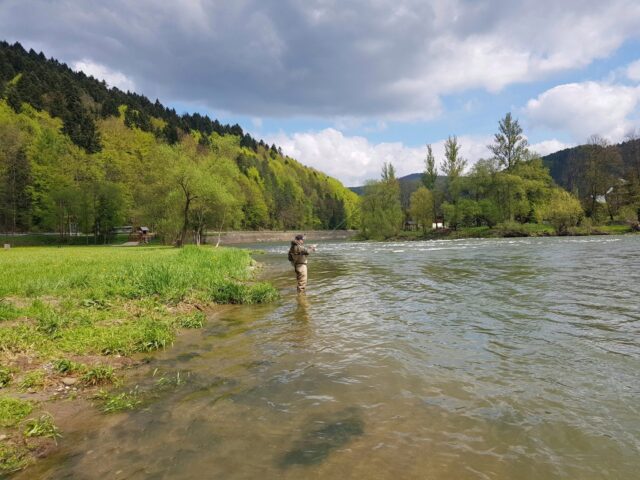 Higher water is perfect fo Czech Nymph method