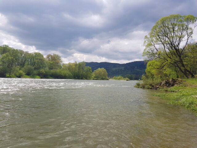 Perfect conditions for trout fly fishing