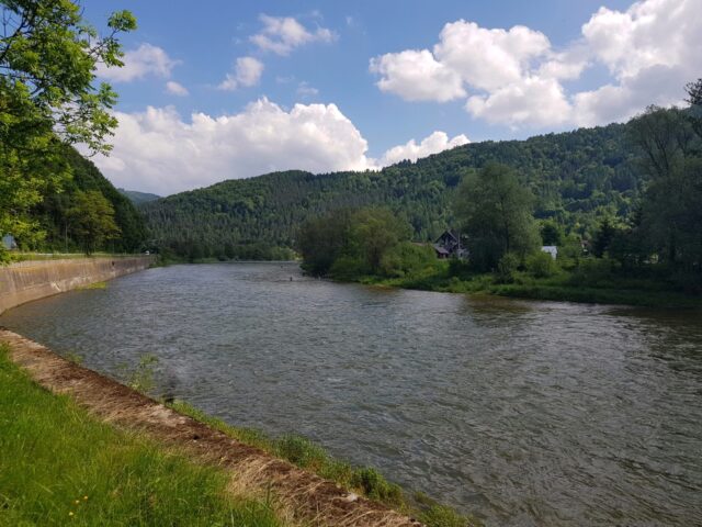 Paradise for streamer for trout and Hucho-hucho