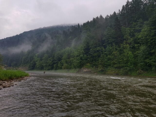 The best place for big trout, grayling and Hucho-hucho