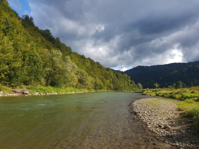 Barbel area, Fly Fising in Poland