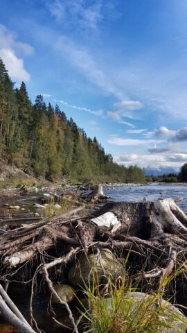 Stunning views - wild nature, wild river and wild trout and grayling
