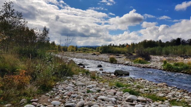 Crystal cear water, brown trout river.