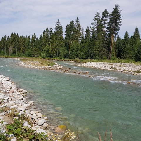 After each rock theres a trout hiding - Fly Fishing in Poland