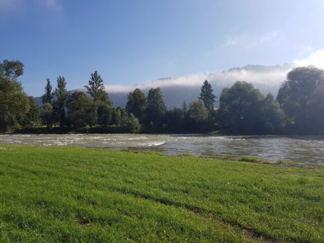 After rain big trouts like to attack streamer.
