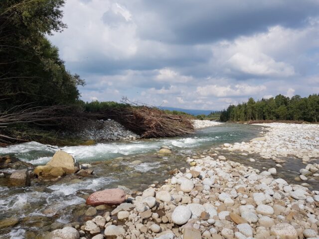 Big pool with big number of fish, trout and grayling fly fishing river