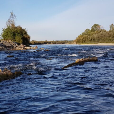No kill zone - trout, grayling, Hucho-hucho and barbel area